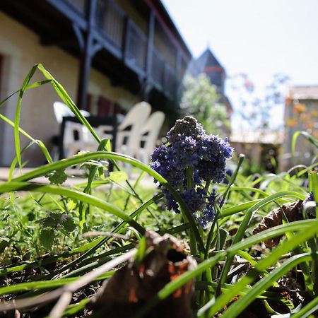 Au Repos Des Elfes Villa Braye-sous-Faye Exteriör bild