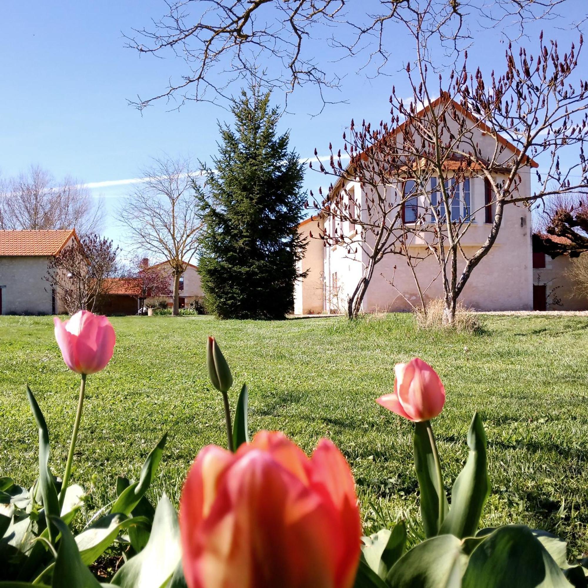 Au Repos Des Elfes Villa Braye-sous-Faye Exteriör bild